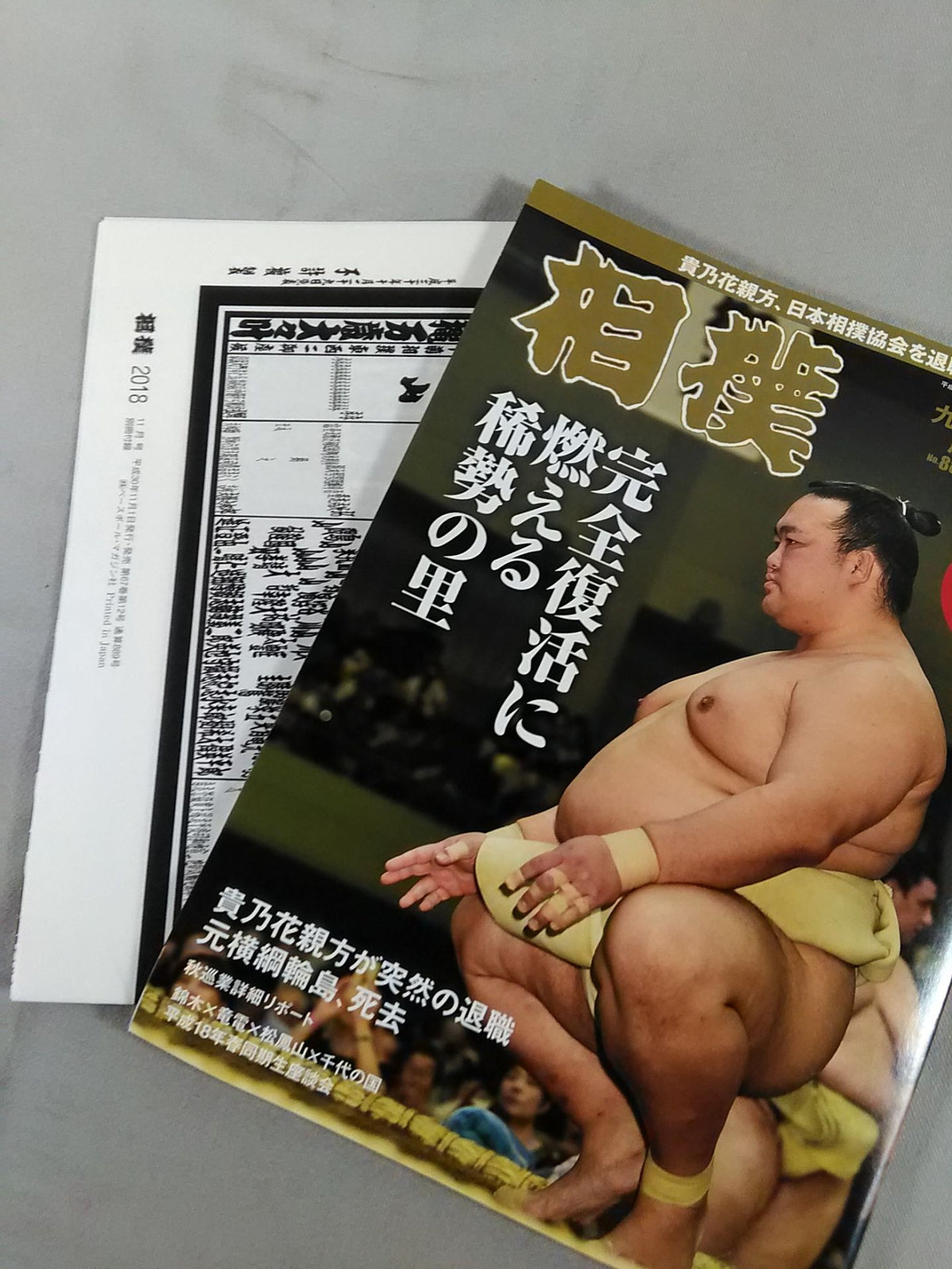 Sumo November 2018