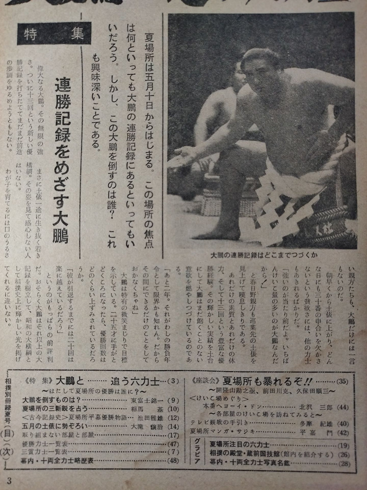 相撲別冊 緑夏号