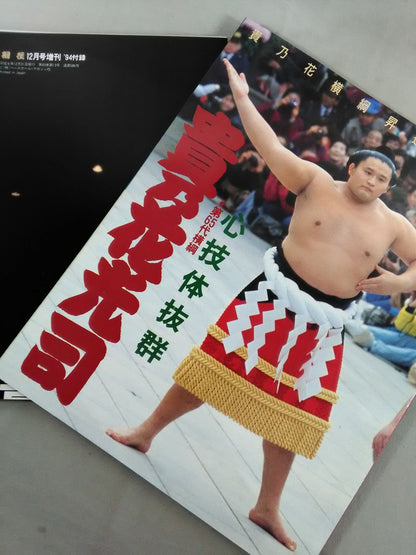 心技体抜群 第65代横綱 貴乃花光司