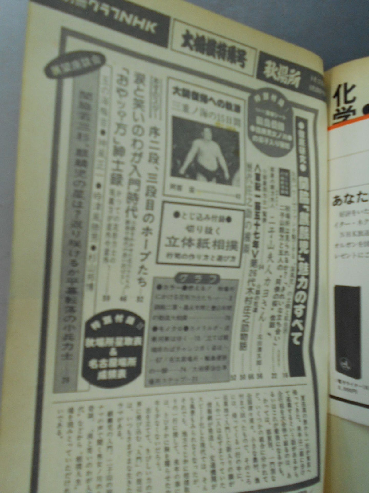 別冊グラフNHK 大相撲特集号・秋場所