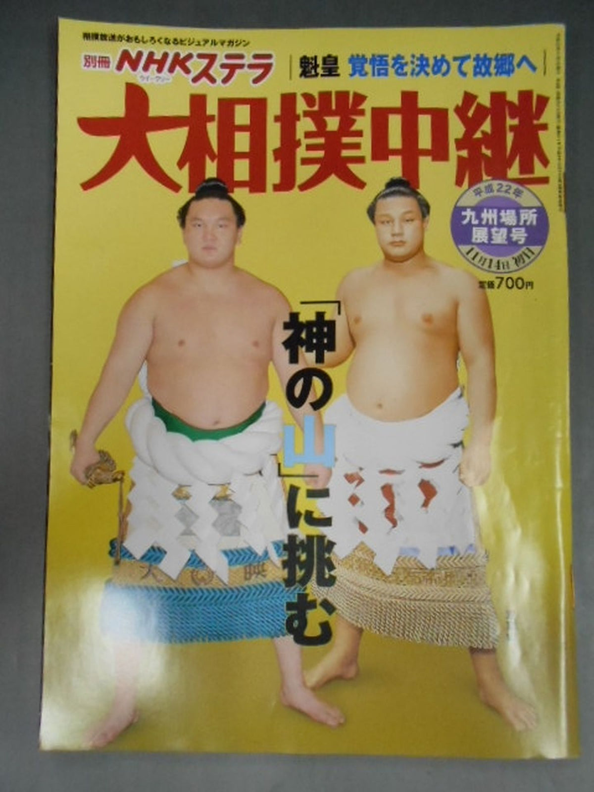 大相撲中継 平成22年九州場所展望号