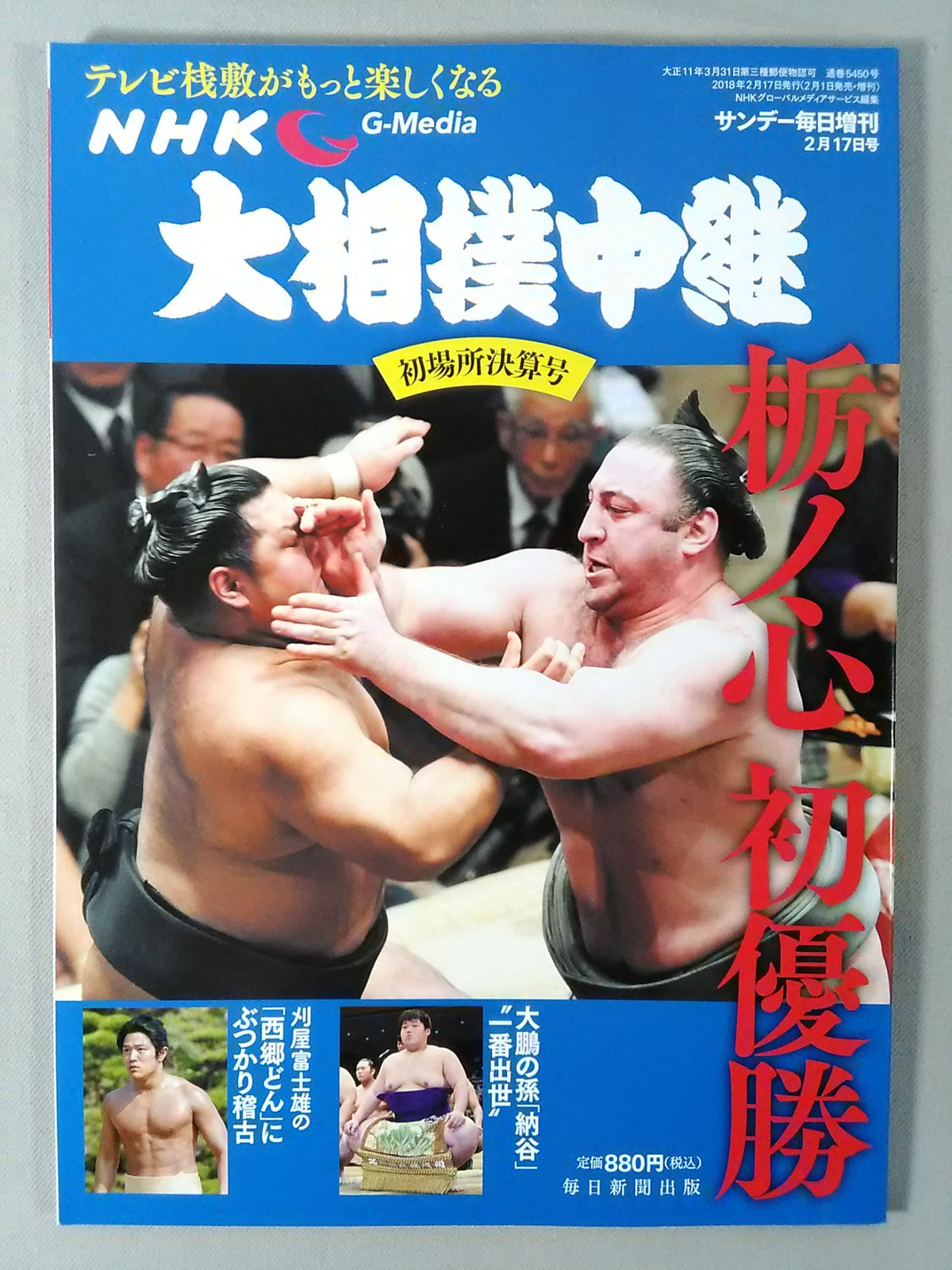 大相撲中継 平成30年初場所決算号
