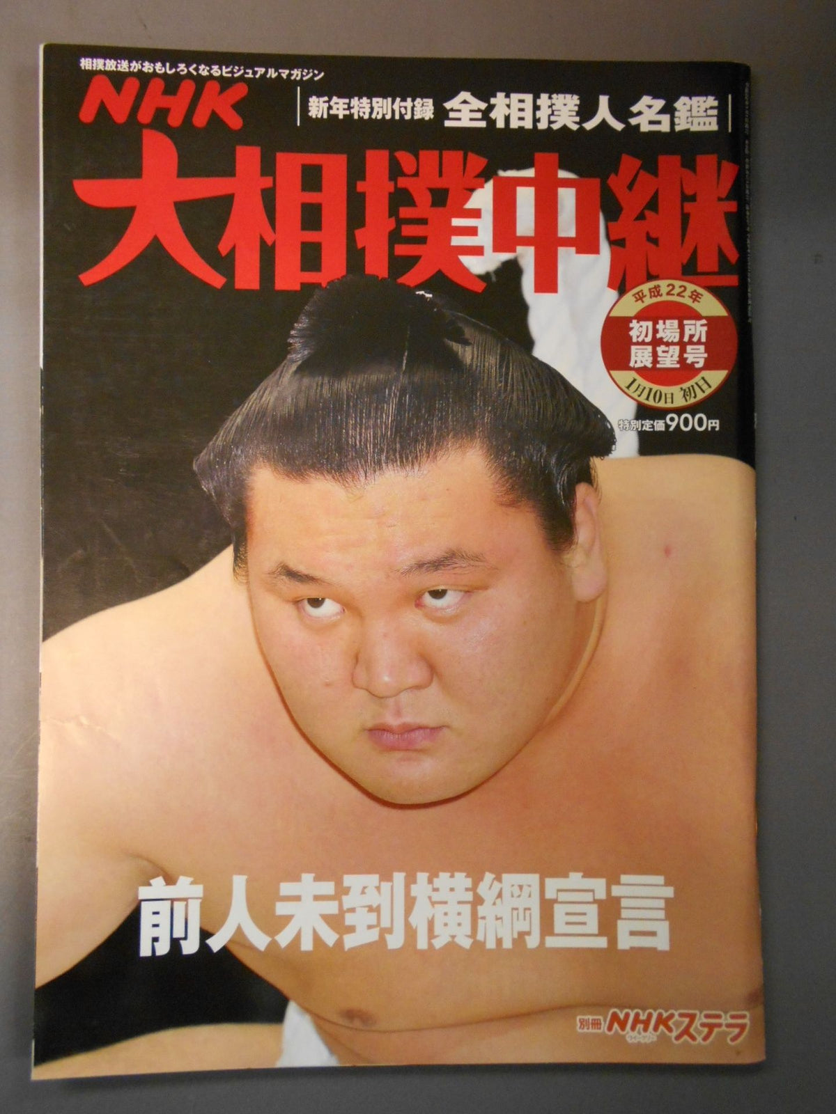 大相撲中継 平成22年初場所展望号