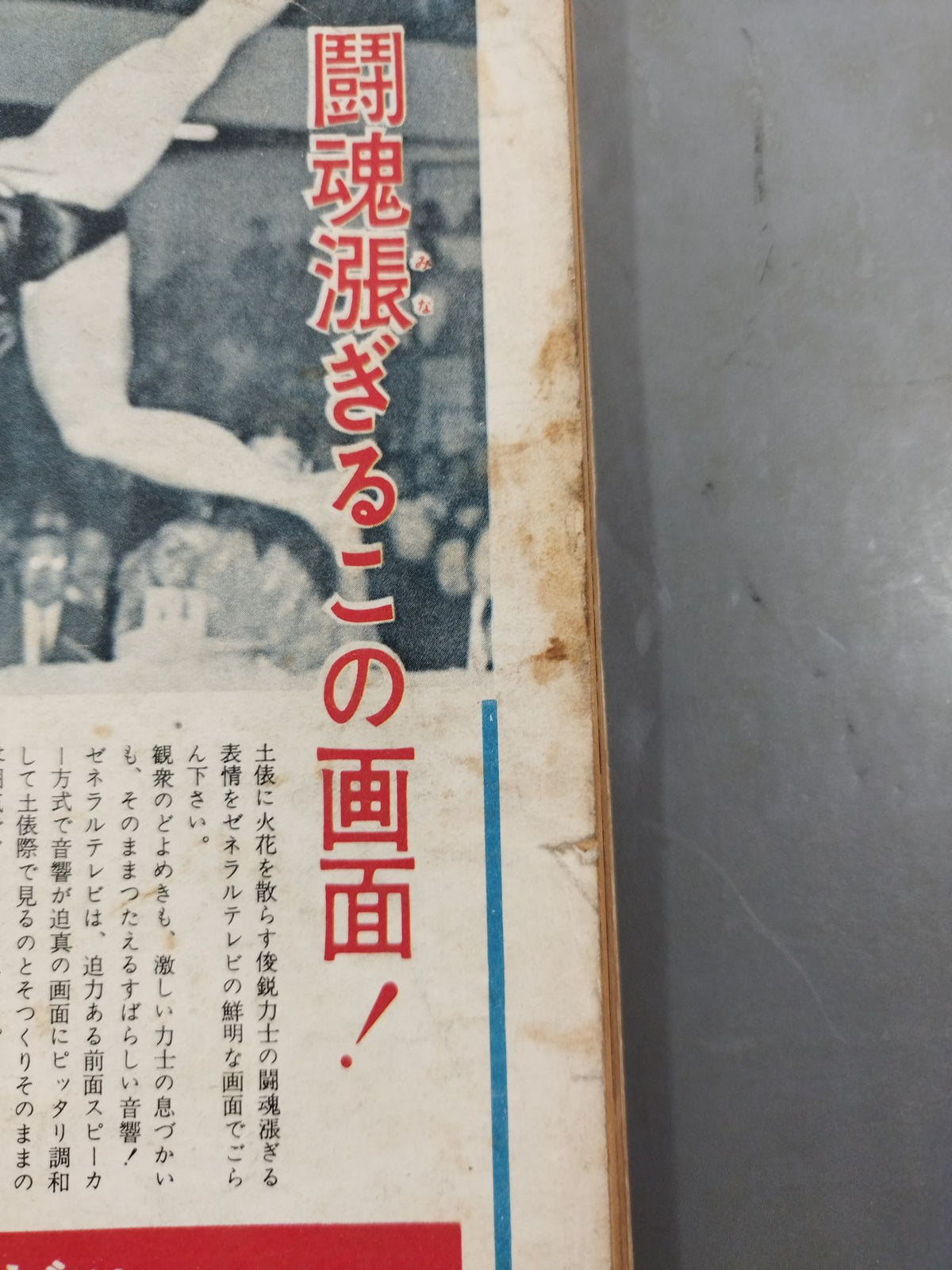 野球界別冊 1958年10月号