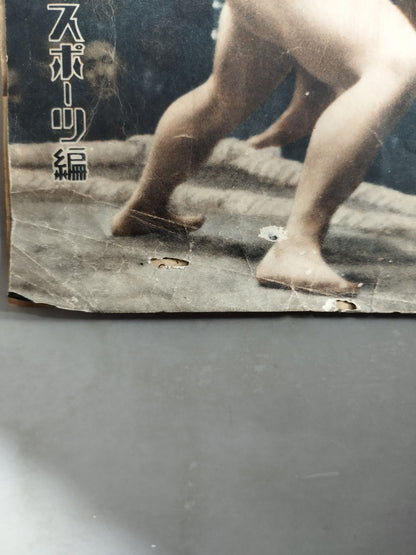 大相撲春所總決算號