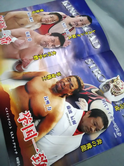 Real Japan Pro Wrestling  Vol.14 / SPACE FLYING TIGER DROP