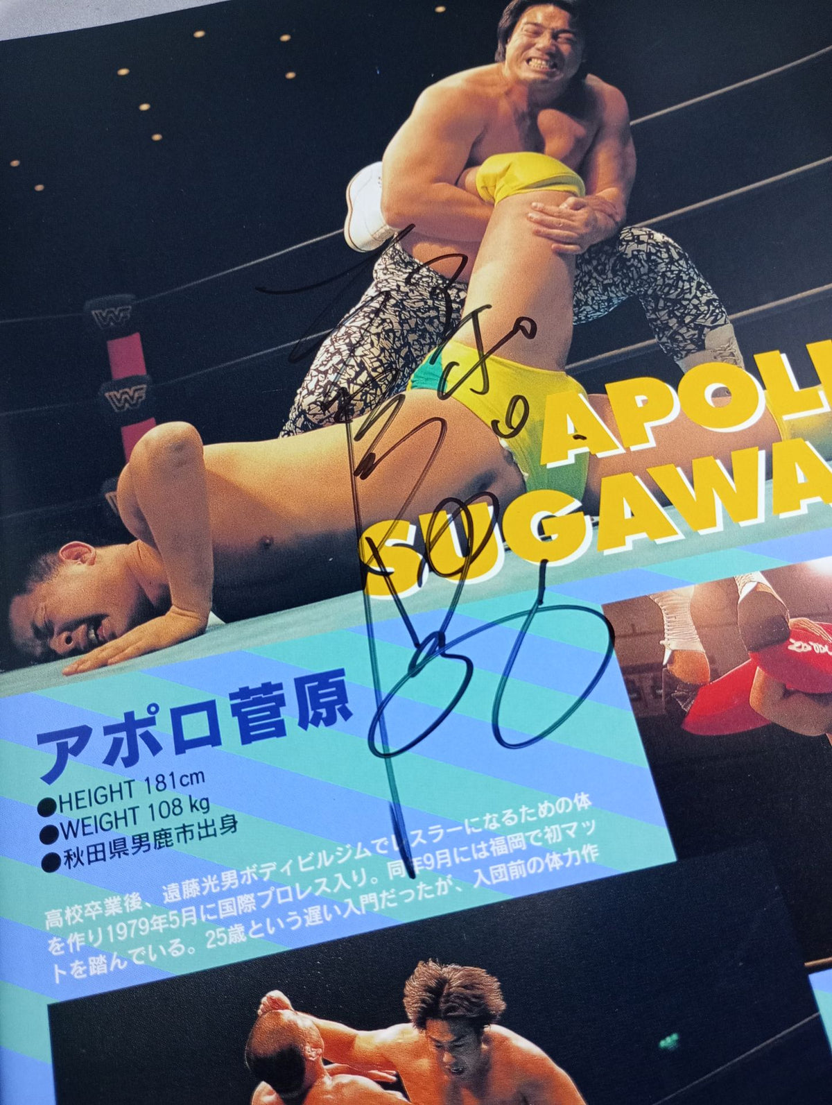 【Apollo Sugawara hand signed autograph 】NOW VOL.1