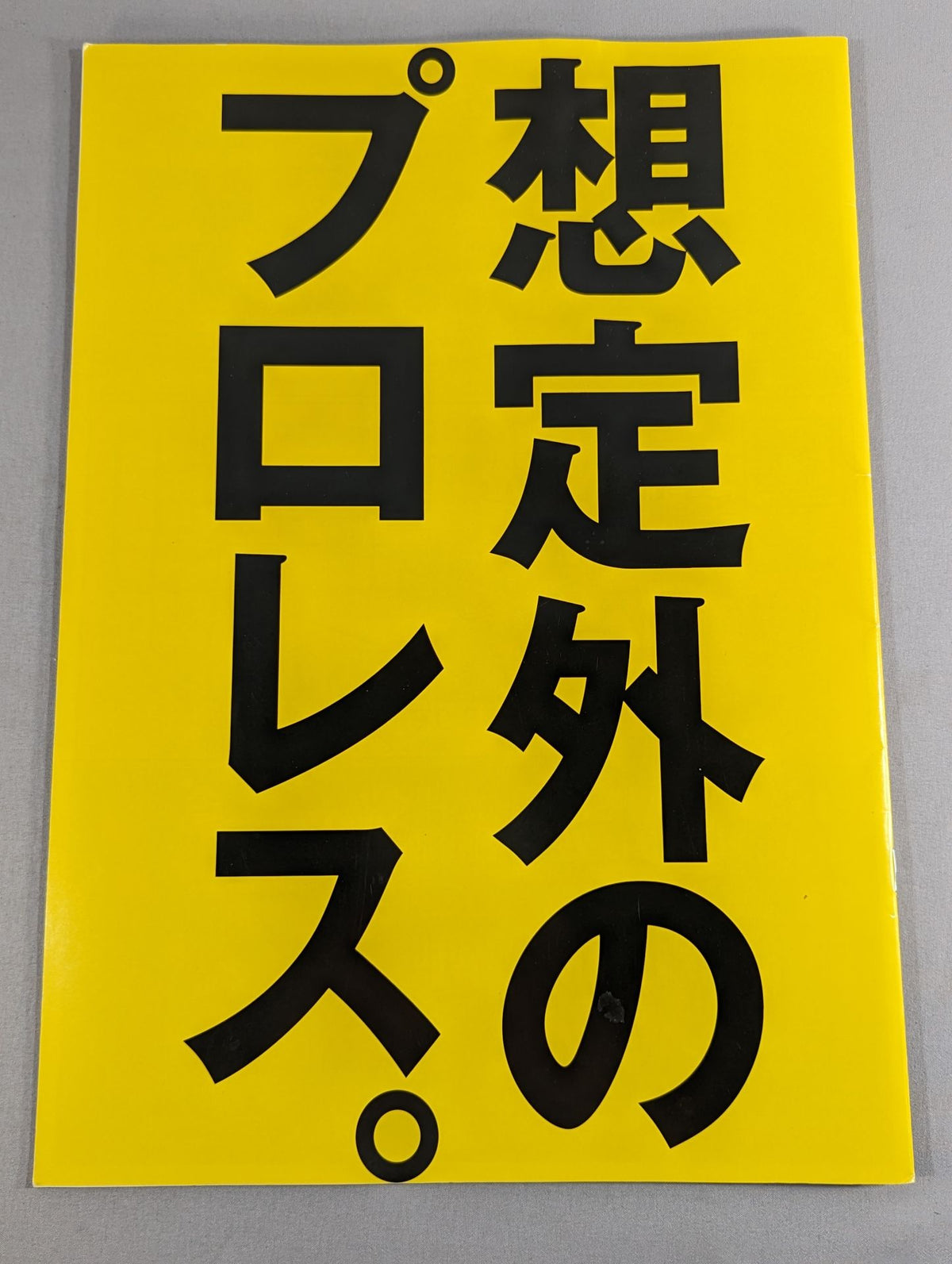 ★ Unexpected Pro Wrestling  First Show  ★ dragondoor