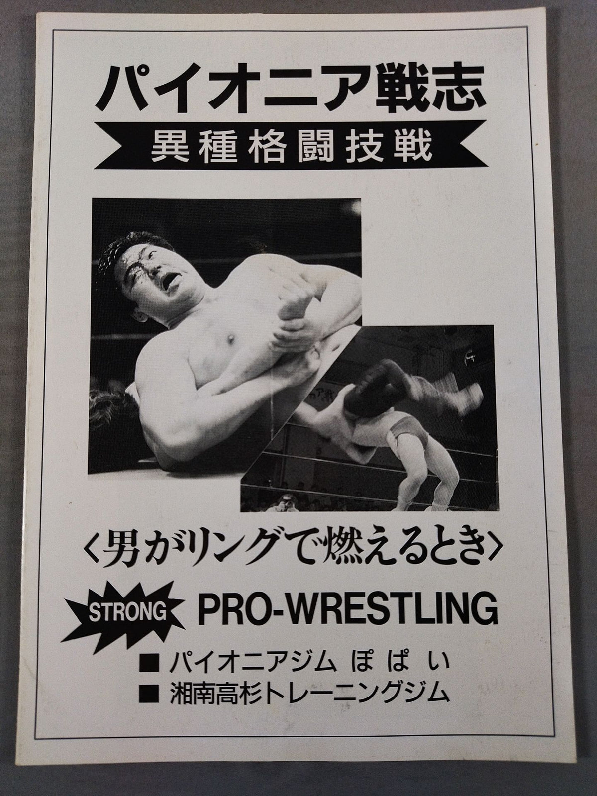 パイオニア戦志 異種格闘技戦