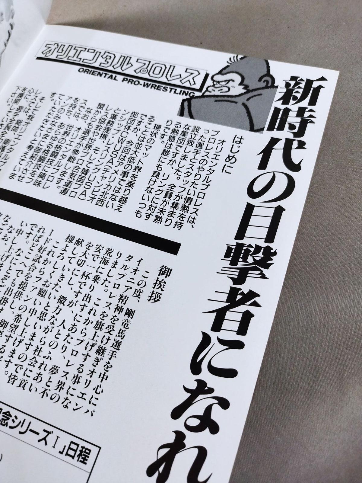 オリエンタルプロレス 旗上げ記念シリーズ1