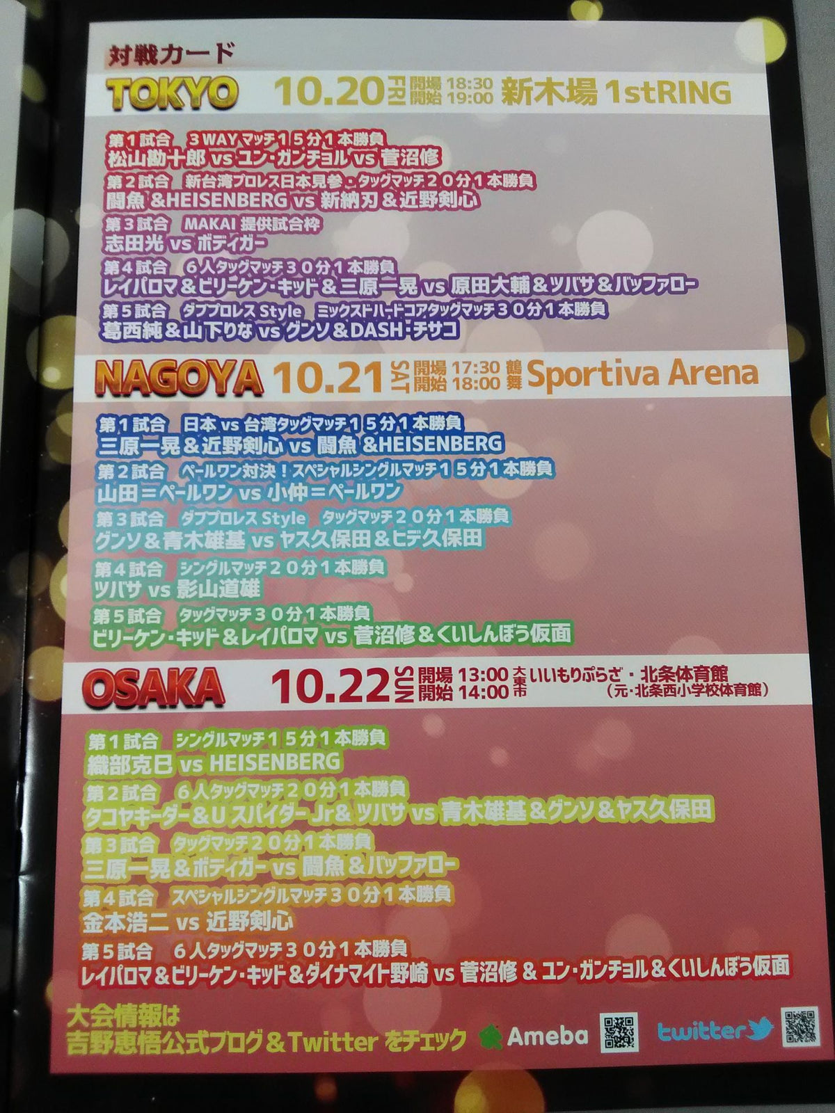 Keigo Yoshino 10th Anniversary Referee 15th Anniversary Entertainment Career Commemorative Event Tokyo-Nagoya-Osaka Tour Event Commemorative Pamphlet
