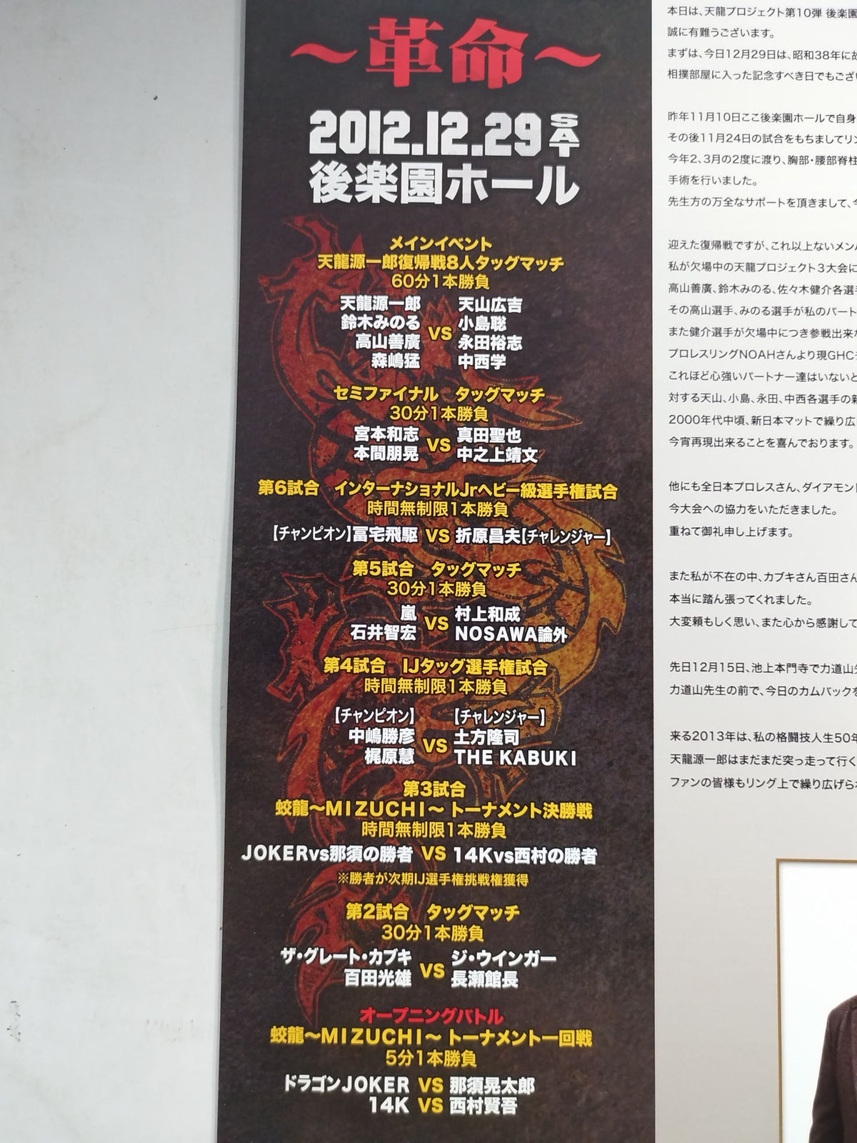 天龍プロジェクト10 Vol.9 天龍源一郎復帰戦 ～革命～