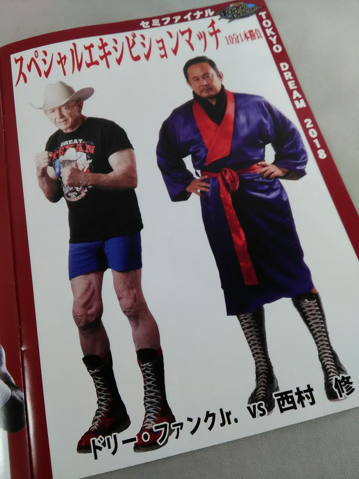 TOKYO DREAM 2018 東京愚連隊 OFFICIAL GUIDE BOOK