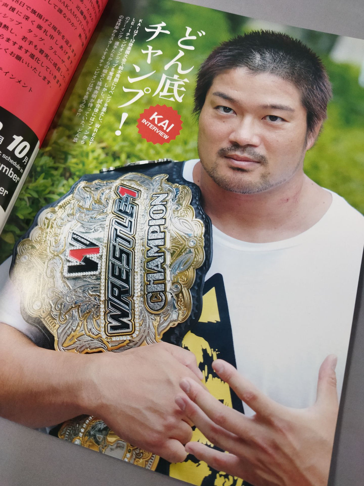 WRESTLE-1 OFFICIAL GUIDE BOOK 2015 No.4