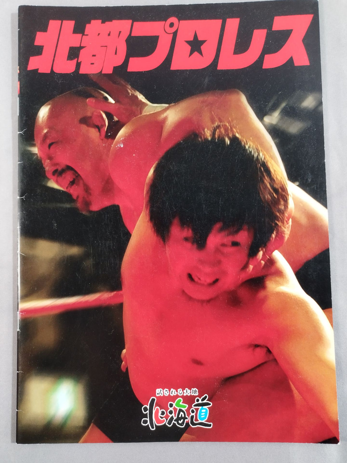 2014 Beidu Pro Wrestling