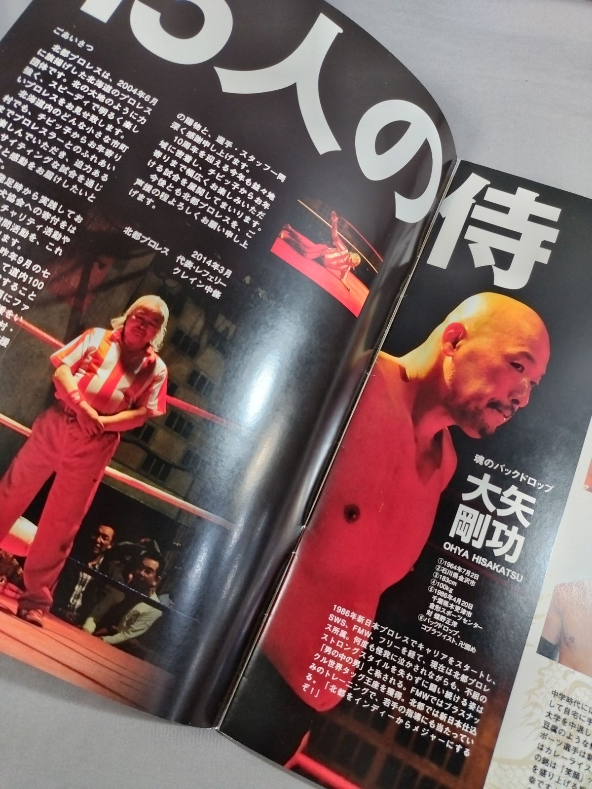 2014 Beidu Pro Wrestling