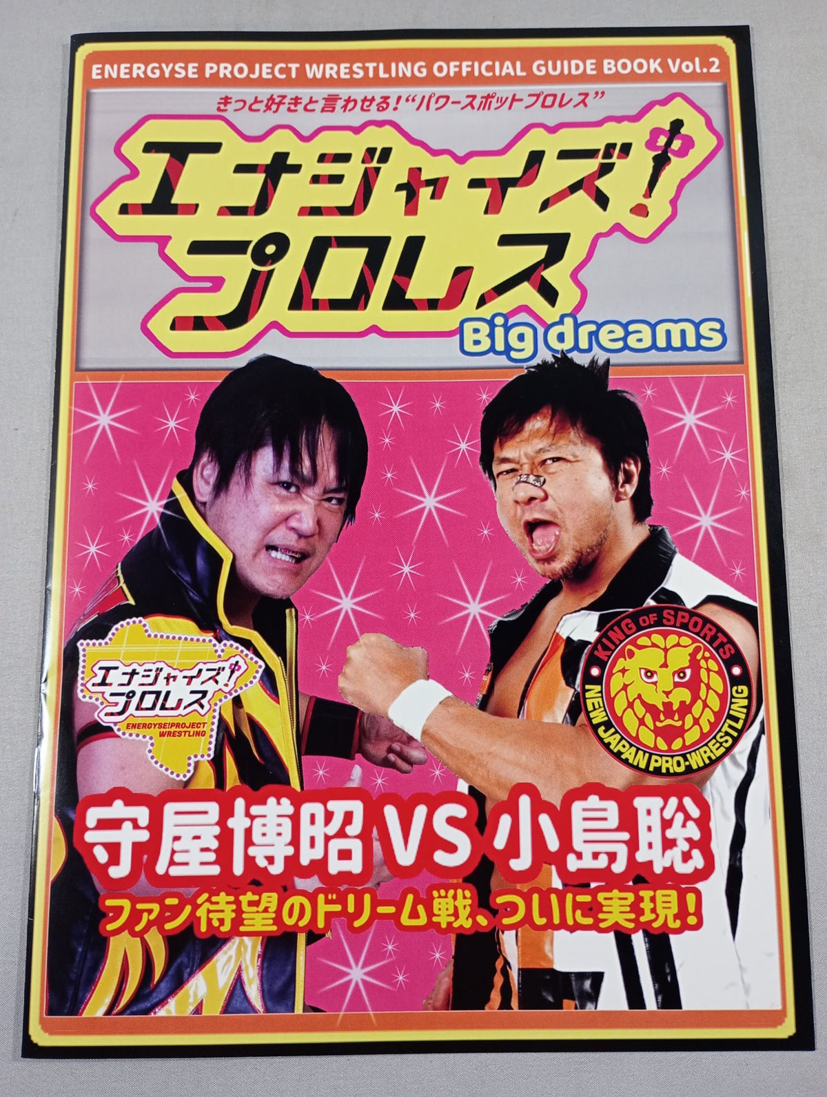 エナジャイズ!プロレス Big dreams ’23