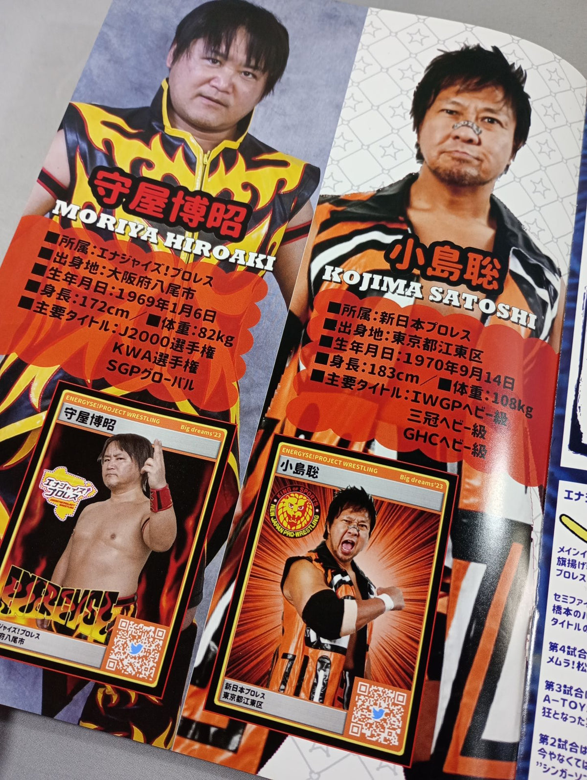 エナジャイズ!プロレス Big dreams ’23