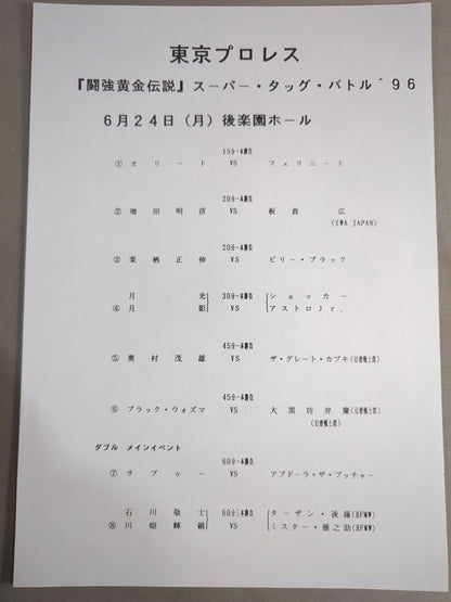 (New) Tokyo Pro Wrestling / Fighting Legend of Gold (2)