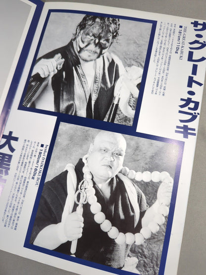 (New) Tokyo Pro Wrestling / Fighting Legend of Gold (2)