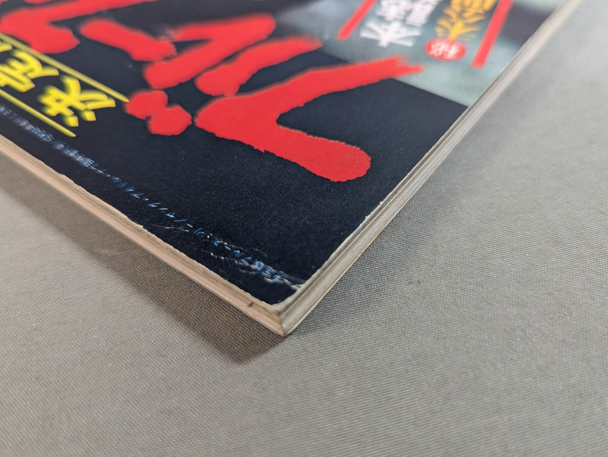 決定版ブルース・リー ヤングアイドルナウ臨時増刊号
