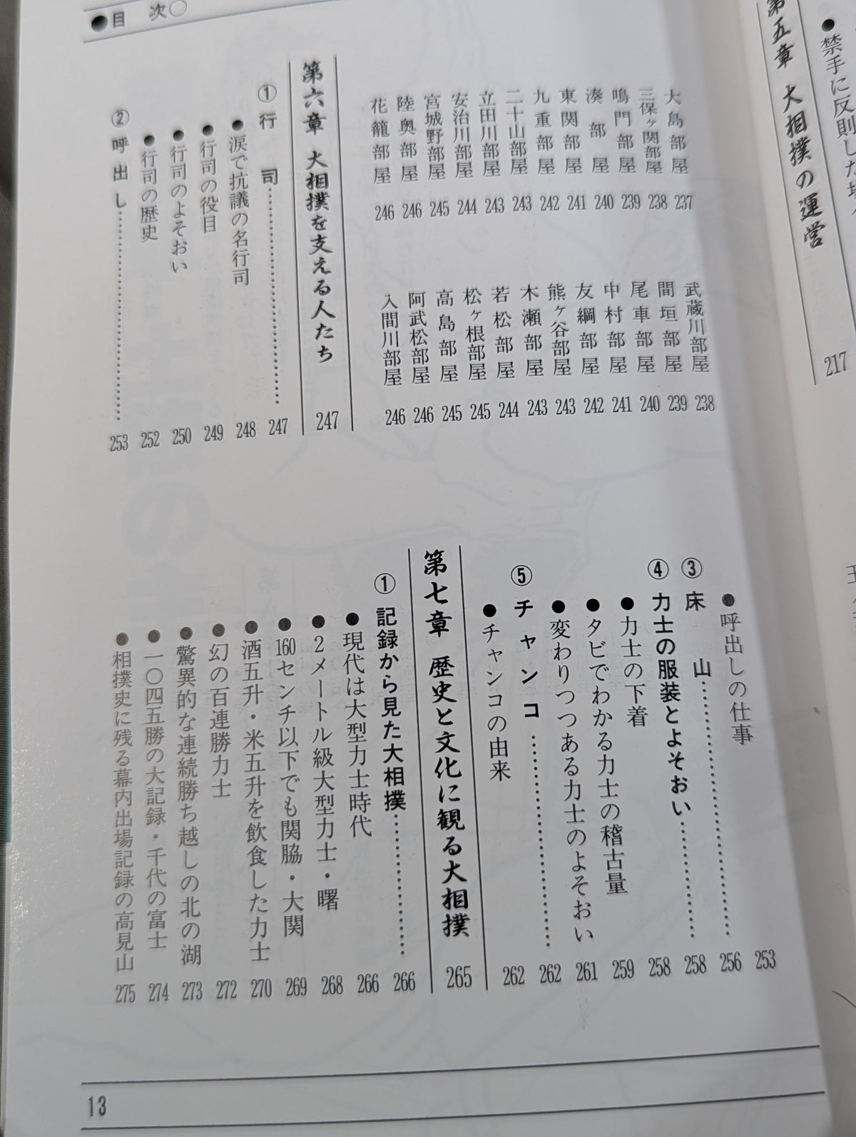 ザ大相撲  95～96年版