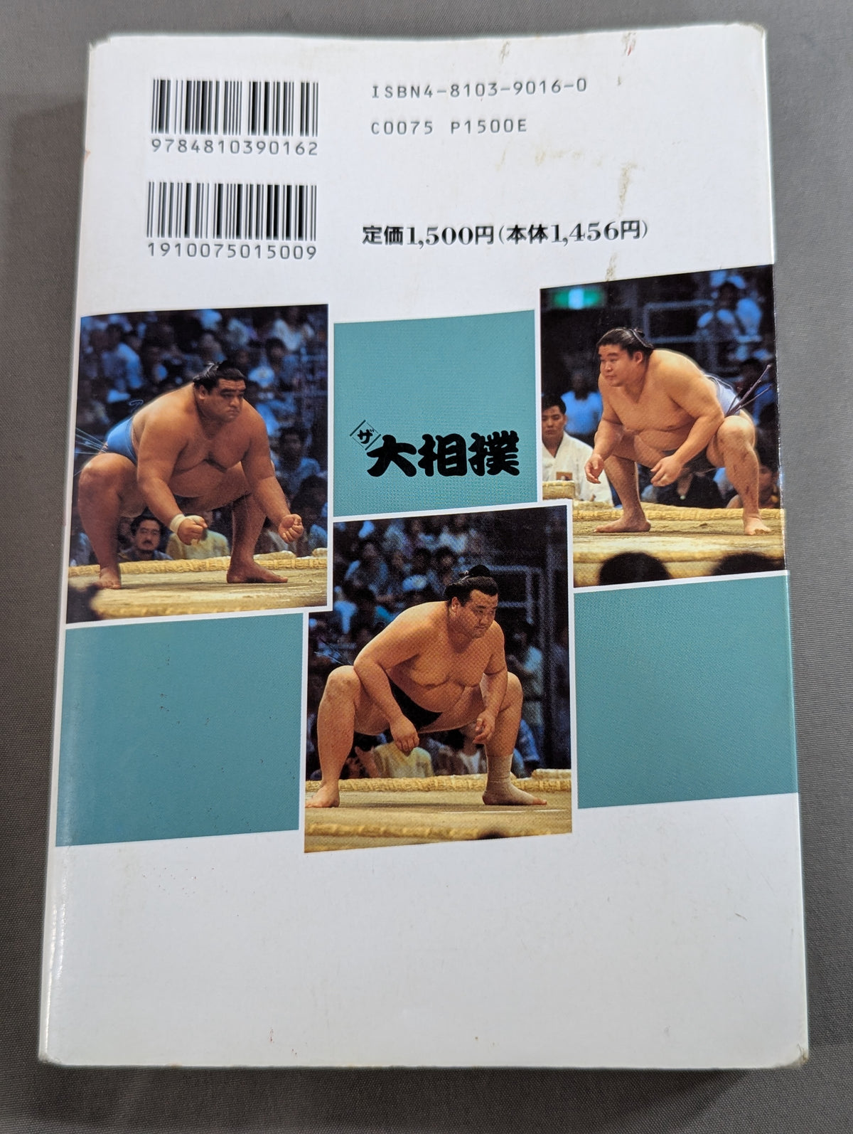 ザ大相撲  95～96年版