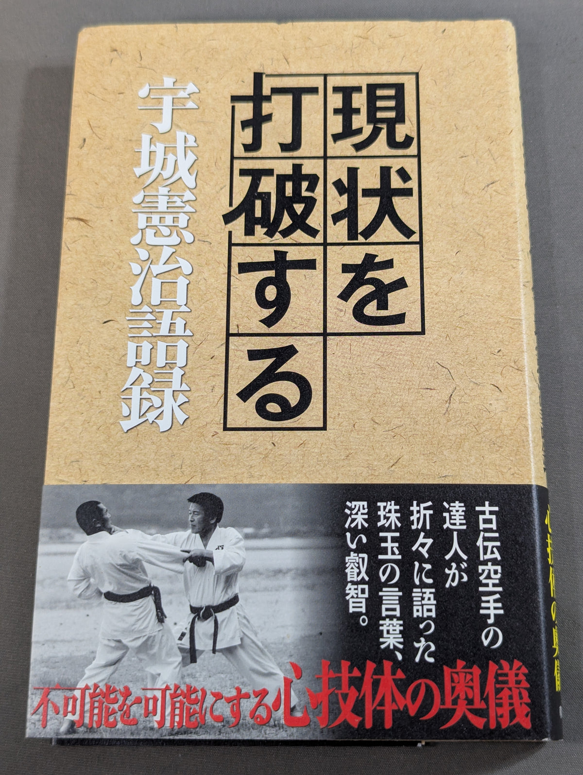現状を打破する 宇城憲治語録