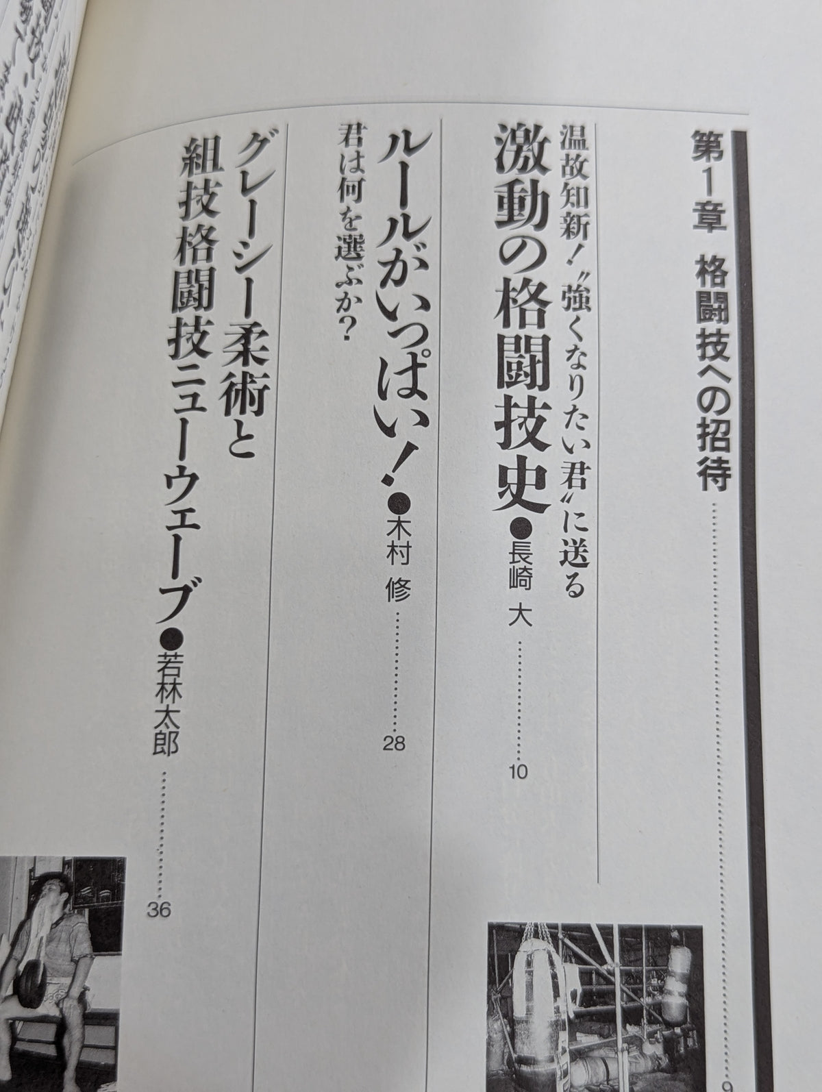 格闘王1 格闘技入門読本