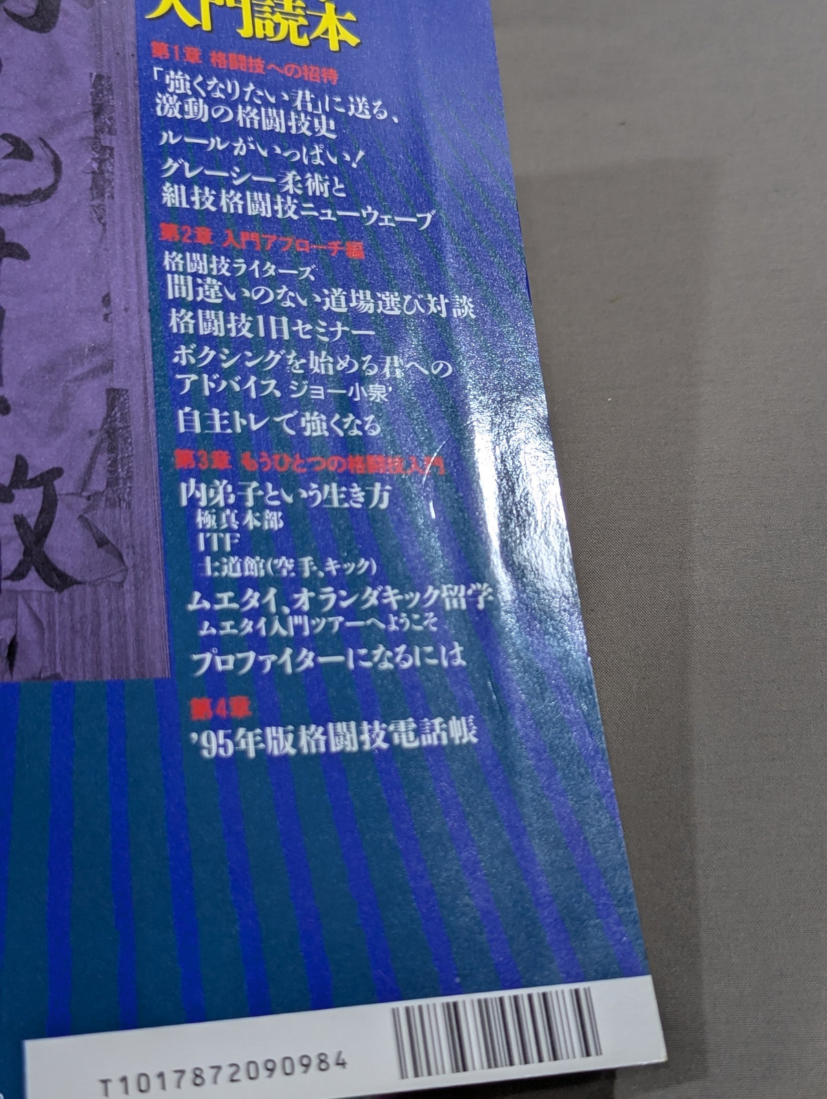 格闘王1 格闘技入門読本