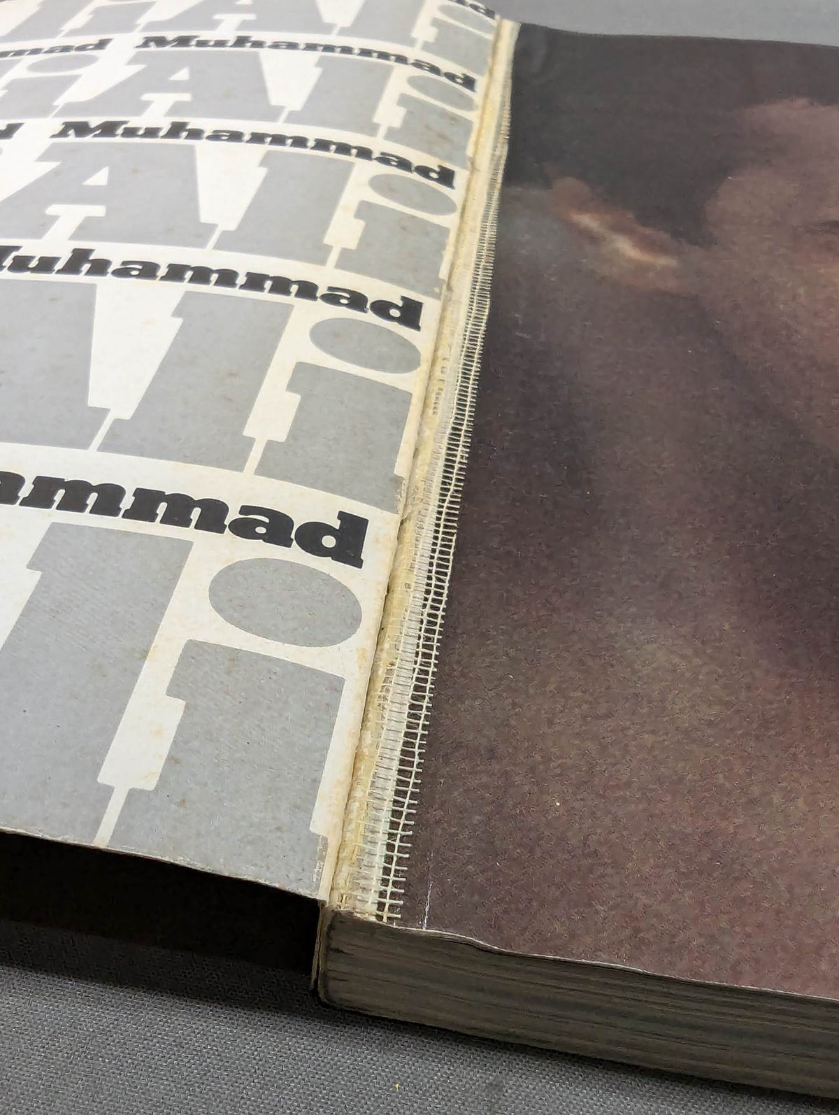 King Ant