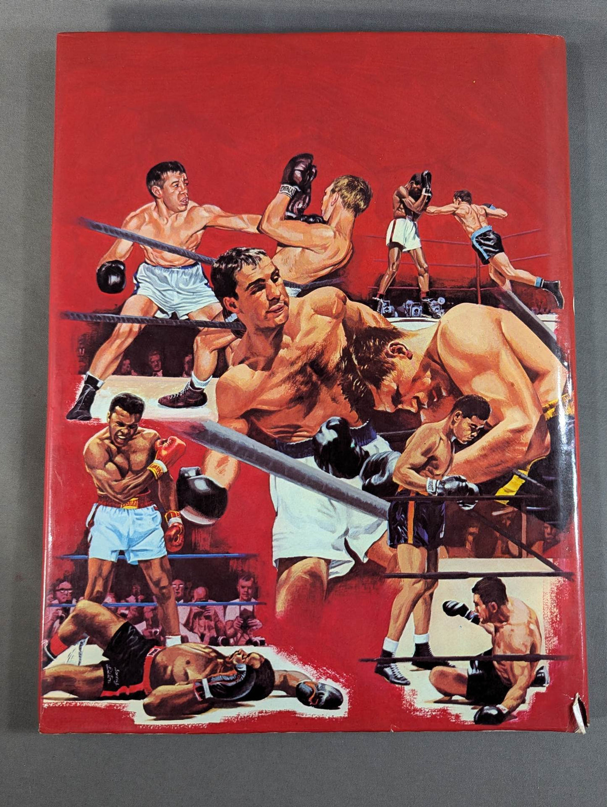 Boxing : The Great Champions