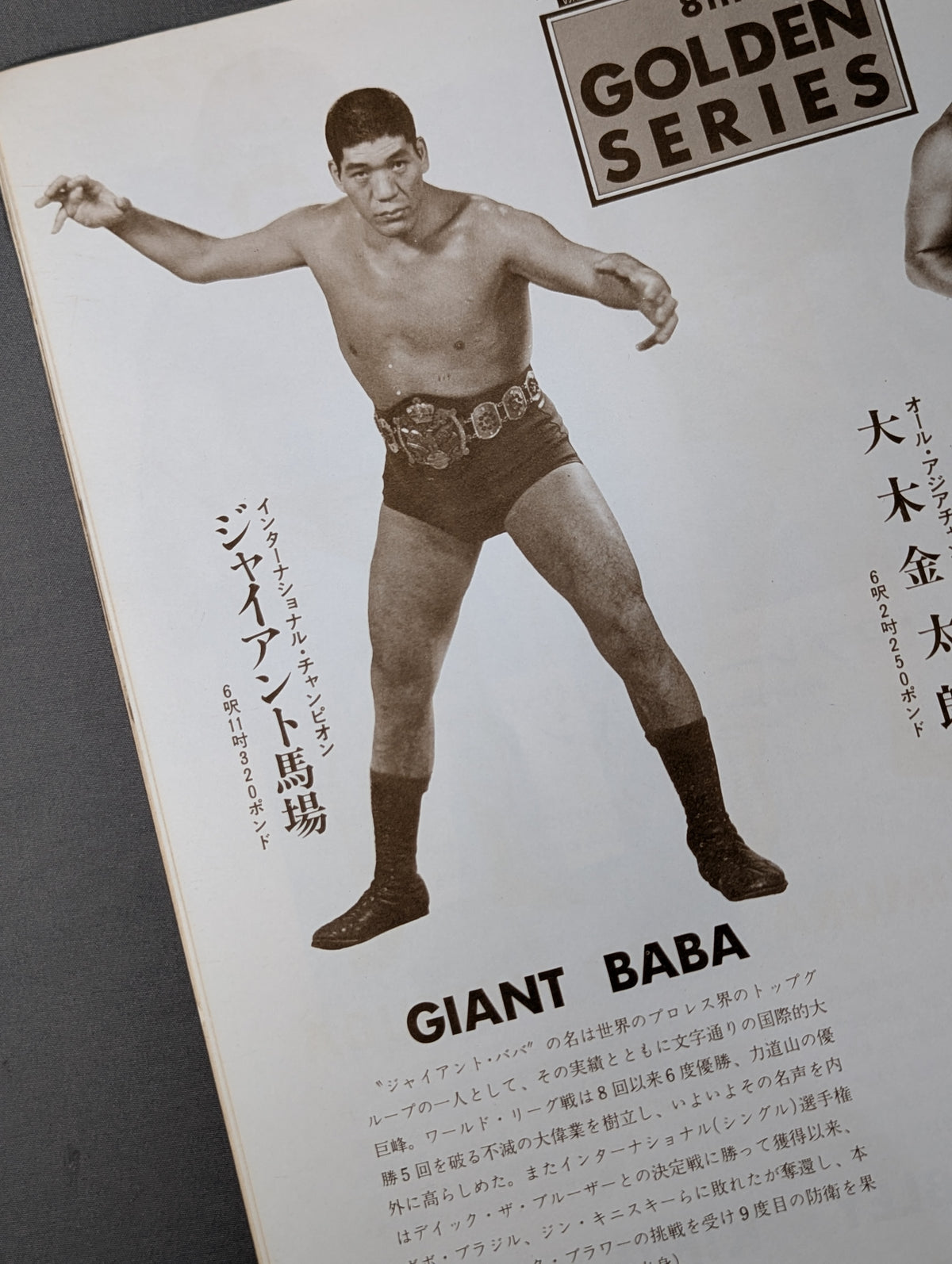72第8回ゴールデンシリーズ戦