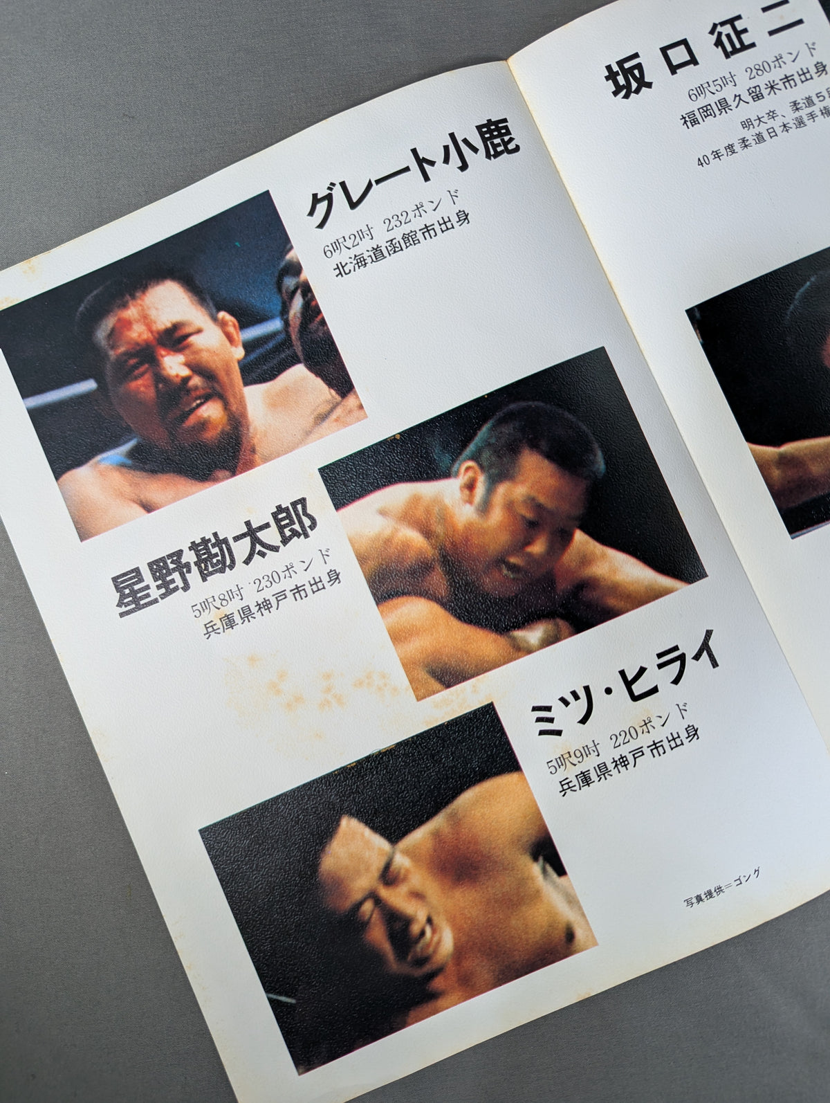 ごあんない 日本プロレス