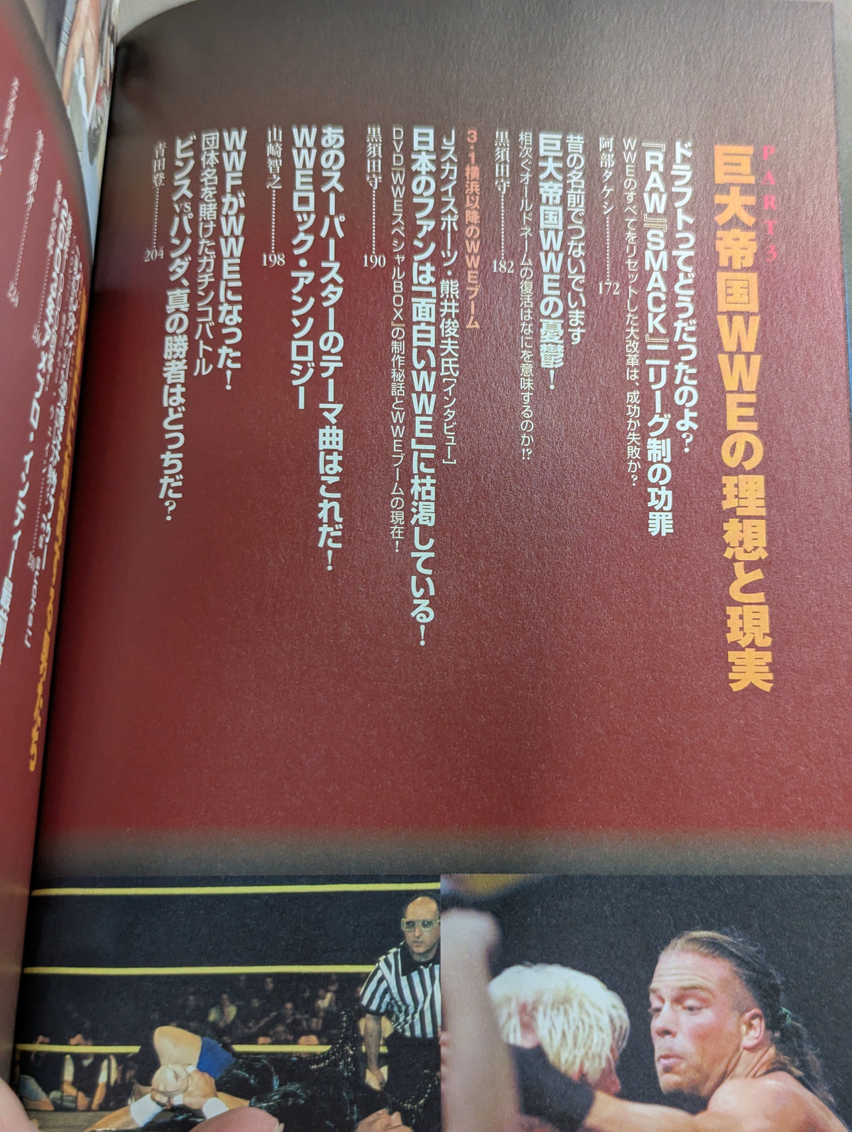 What?アメリカンプロレス読本 迷走するWWEの明日はどっちだ!