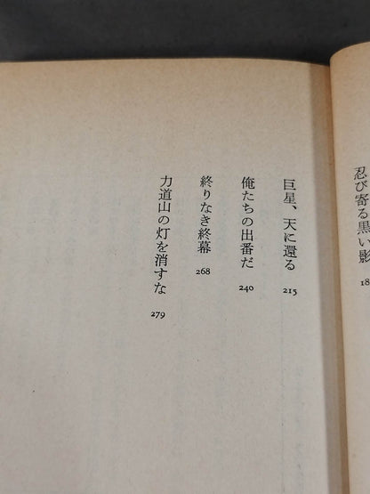 人間ドキュメント力道山 (下) 帝王編