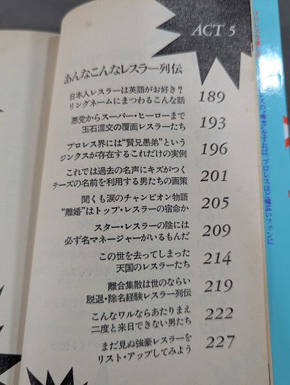 プロレスここまで知ったら立入禁止