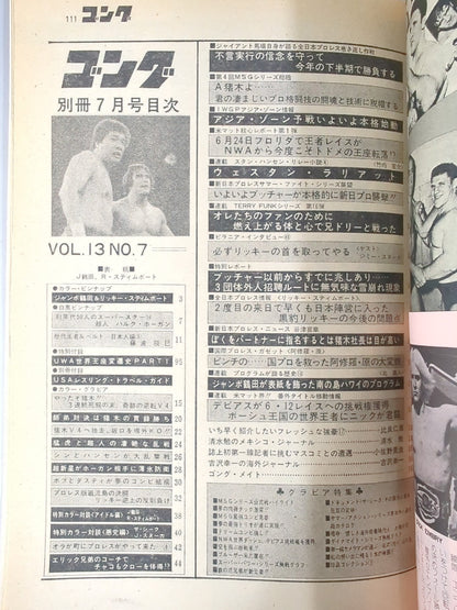 Separate Gong Vol.13 No.7