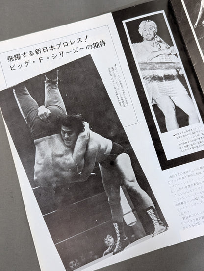 75ビッグファイトシリーズ