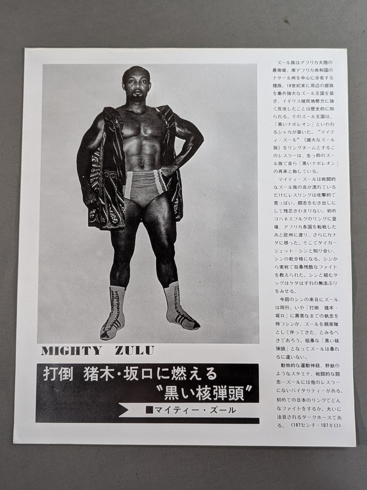 75ビッグファイトシリーズ