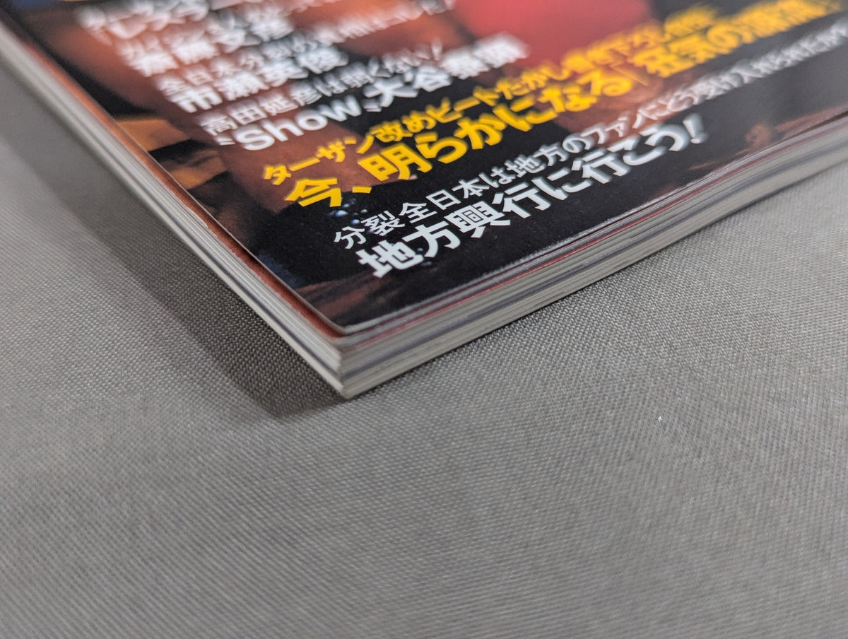 Pro Wrestling Hardcore Vol.5 (No.5)