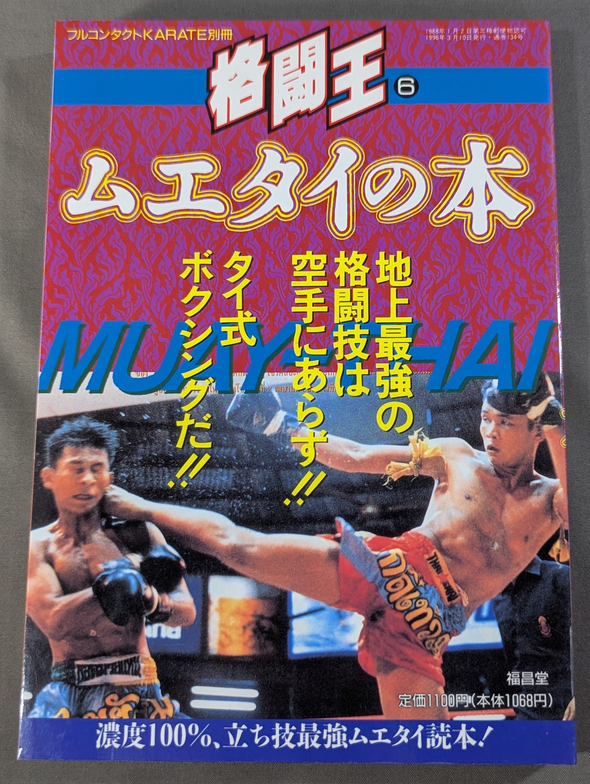 King of Fighters 6 Muay Thai Book / Standing Technique Strongest Martial Arts, Muay Thai Reading Book