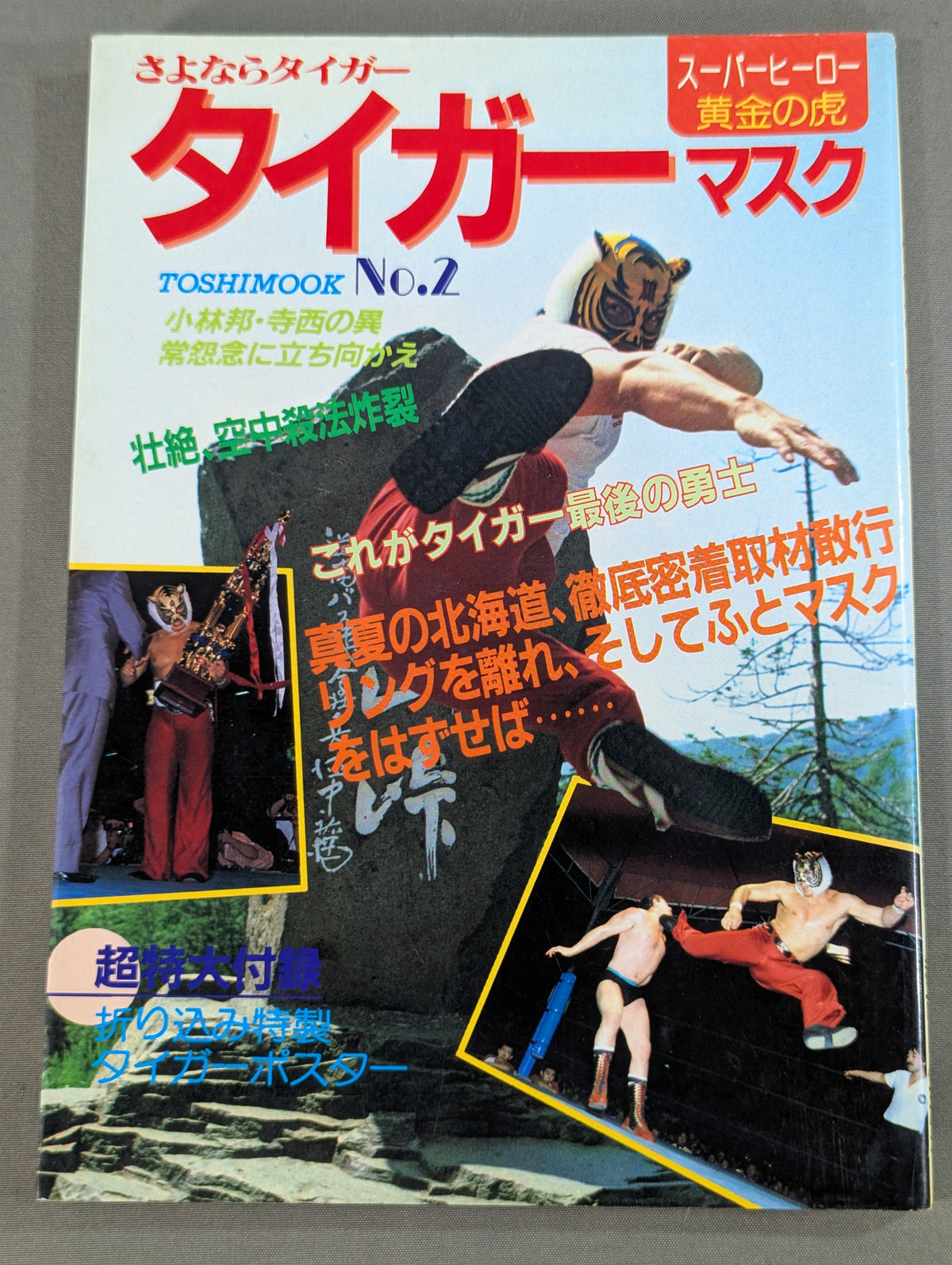 Goodbye Tiger Mask