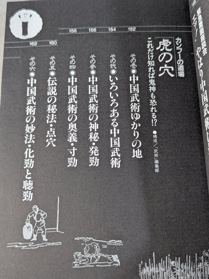 Fighting King 9 Actual Kung Fu Reader