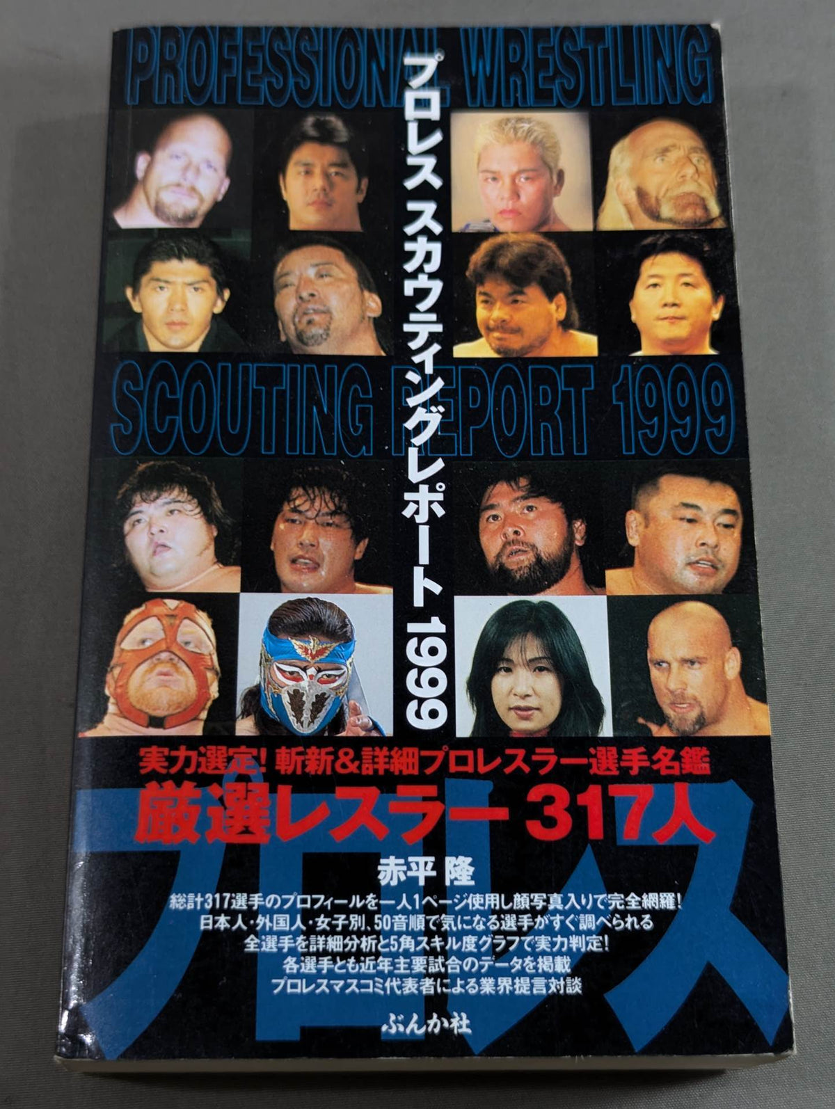 Pro Wrestling  Scouting Report 1999 317 Selected Wrestlers