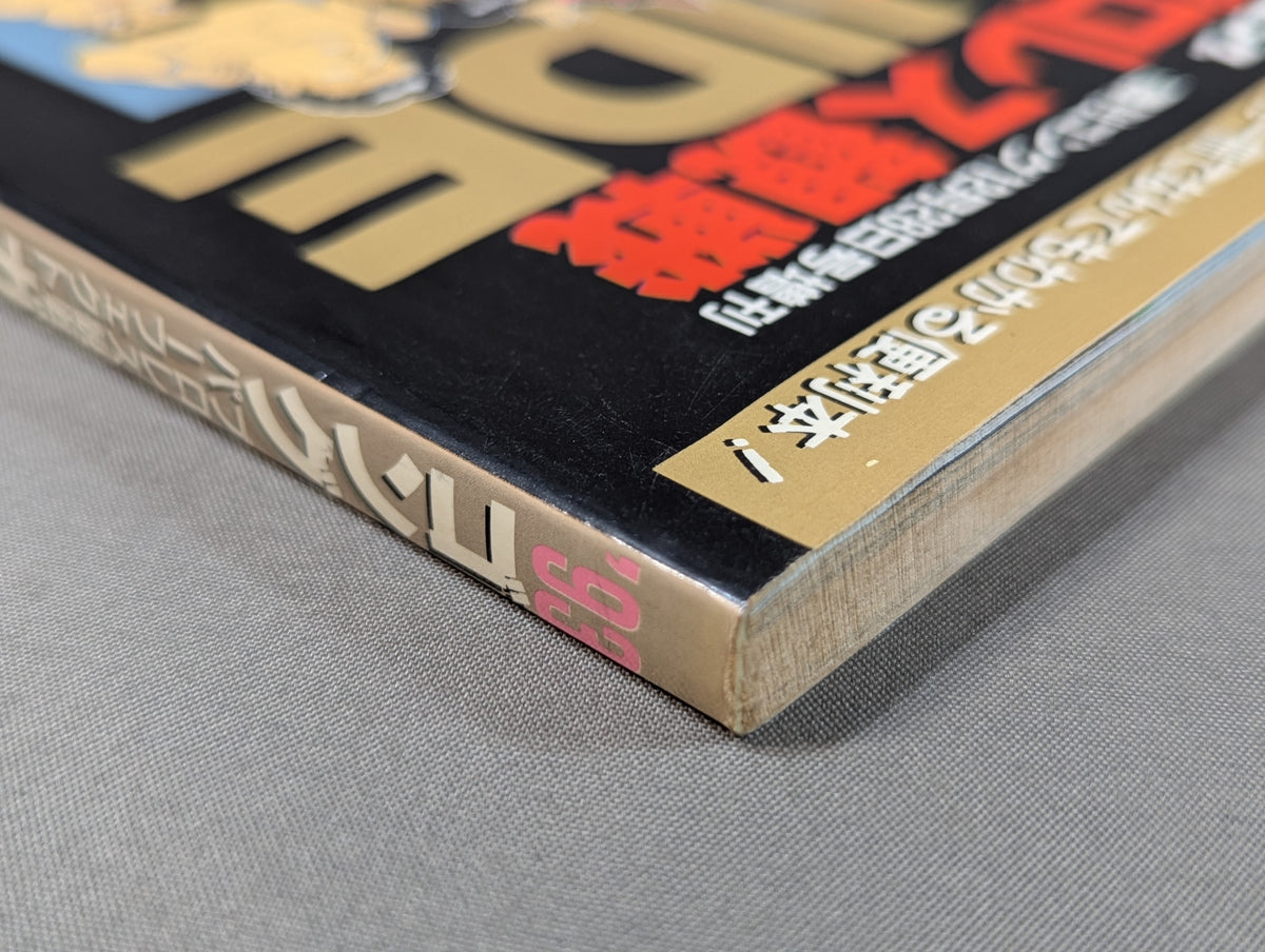 93 Gong Pro Wrestling  Perfect Guide