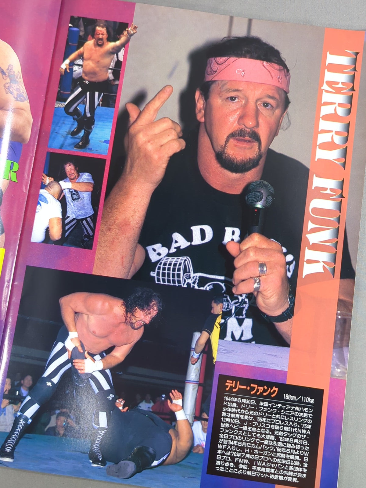 ★ Flair & Terry Participation ★ 95 Wrestling DONTAKU