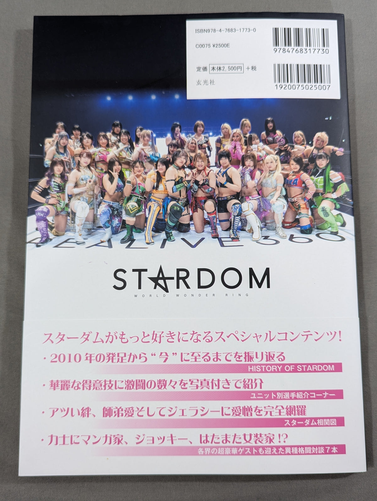 スターダム ファンブック2  STARDOM FANBOOK 2