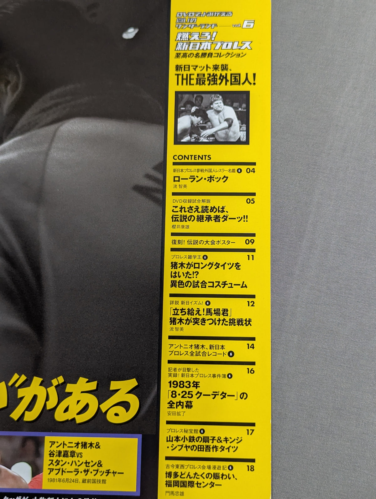 Burn! New Japan Pro Wrestling  vol.6