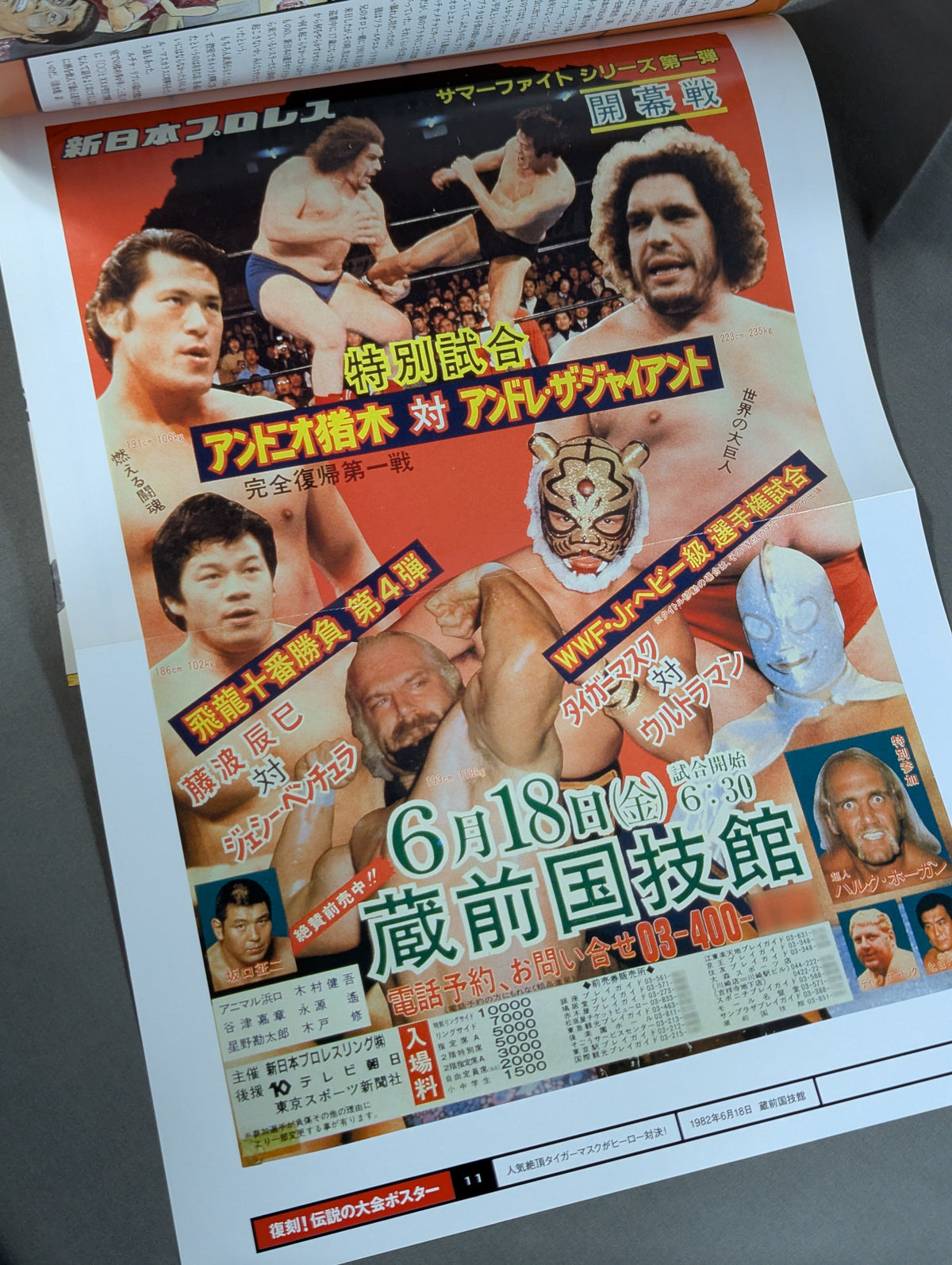 燃えろ!新日本プロレス vol.11